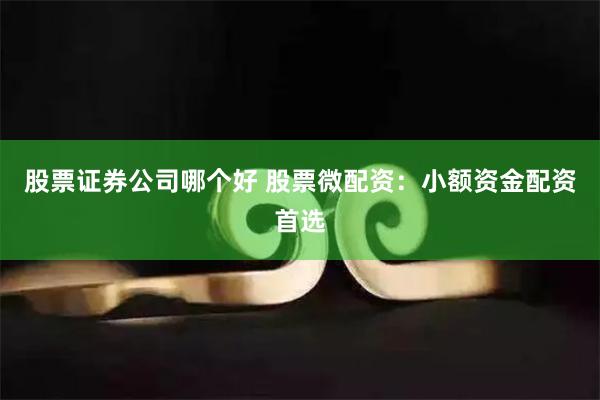 股票證券公司哪個(gè)好 股票微配資：小額資金配資首選