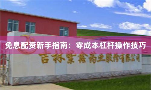 免息配資新手指南：零成本杠桿操作技巧